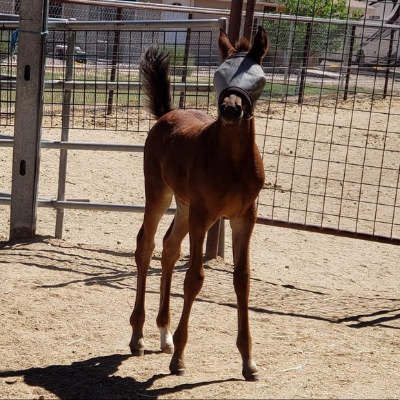 Meet your Posher, Address - Picture 1 of 1